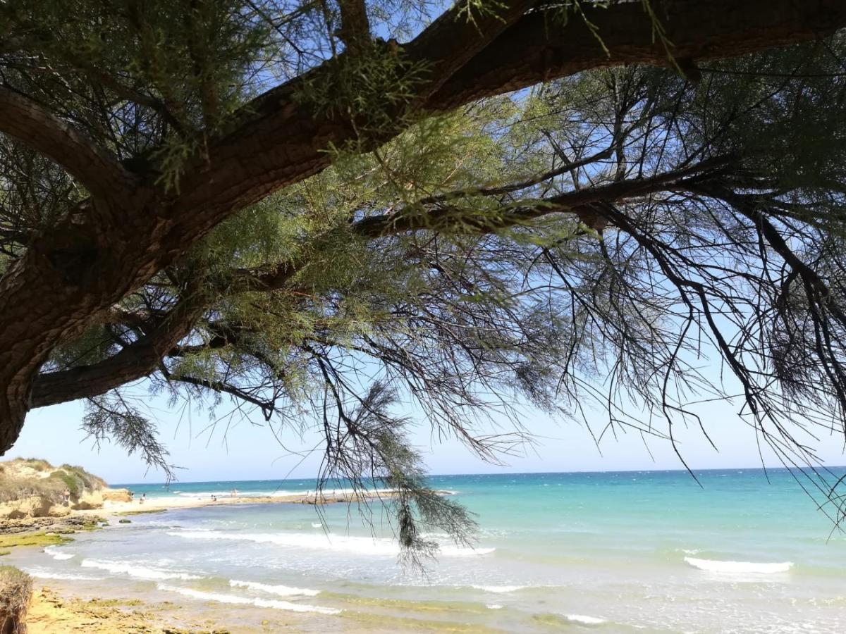 Apartamento Tra Vento E Mare Lendinuso Exterior foto